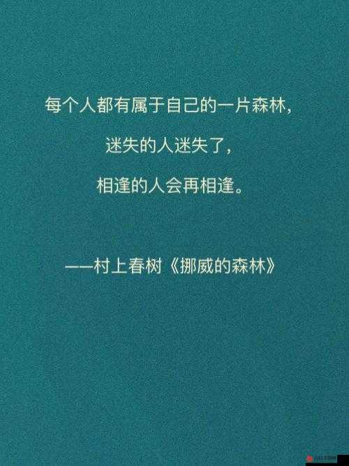 迷失之犬的奇迹，一场跨越艰难、感人至深的冒险寻家之旅